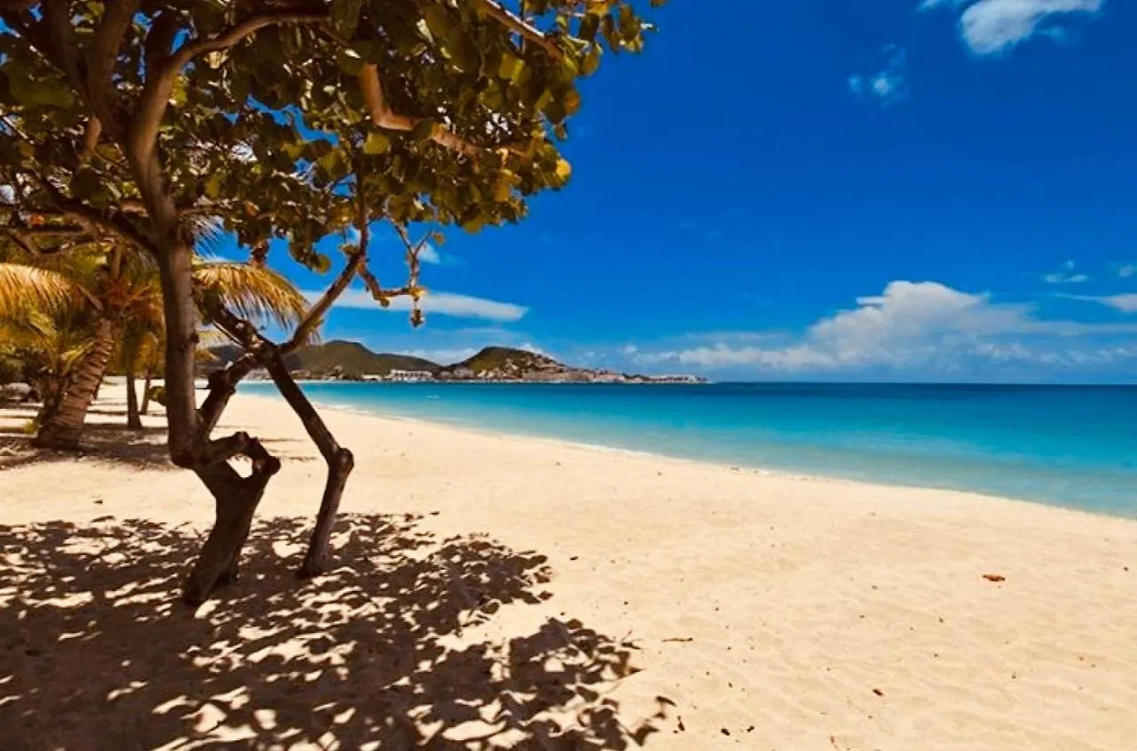 Coco Beachfront Paradise Apartment Simpson Bay